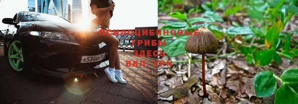 прущая мука Верхний Тагил