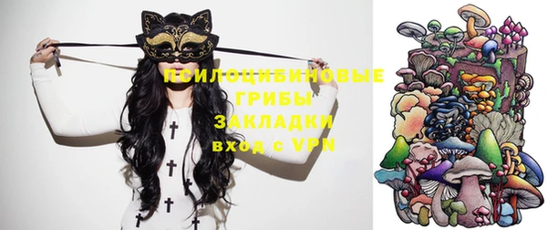 спиды Верея