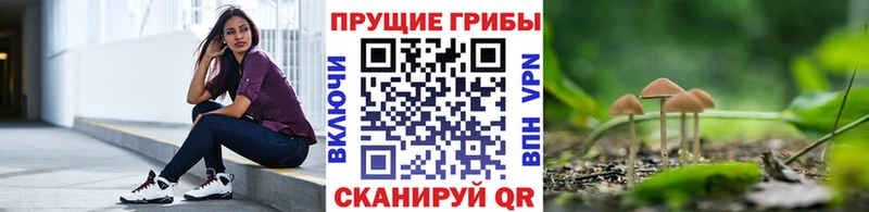 наркотики  Елец  Галлюциногенные грибы мухоморы 